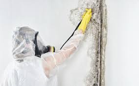 Best Mold Removal for HVAC Installations  in Tuolumne City, CA